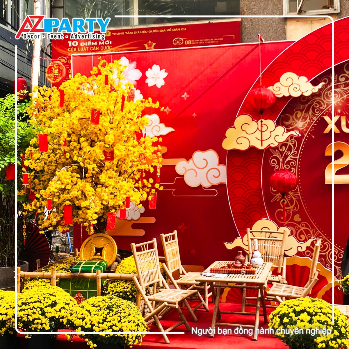 bộ bàn ghế tre và cây mai vàng